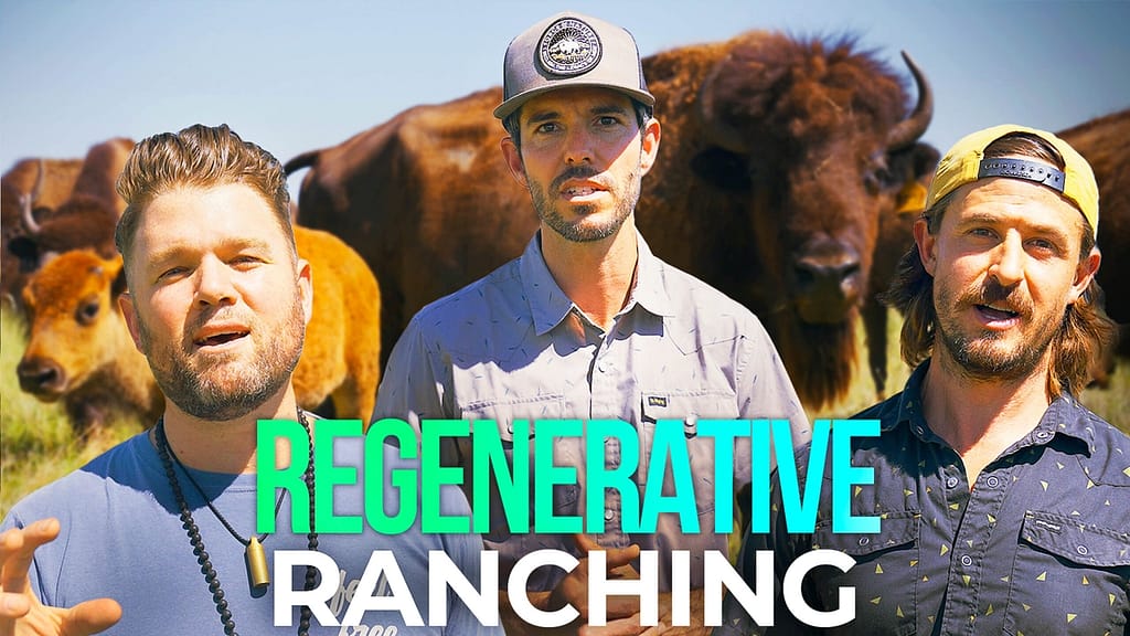 Can Eating BISON Meat Really Help Heal The World? Regenerative Ranching ...