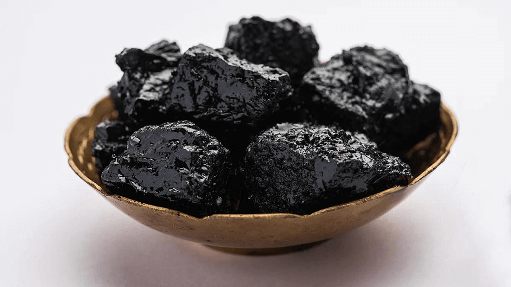 Himalayan Shilajit + Ocean Plasma: A Natural Approach to Health and Wellness