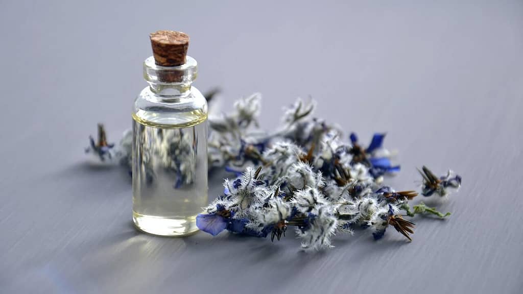 Beginner's Guide to Essential Oil Therapy