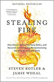 Stealing Fire by Steven Kotler and Jamie Wheal