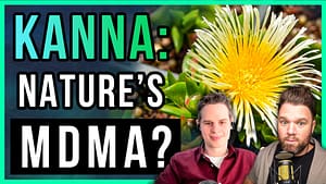 Kanna: Nature's MDMA For Anxiety + Depression? | Bandit French (LiftMode)