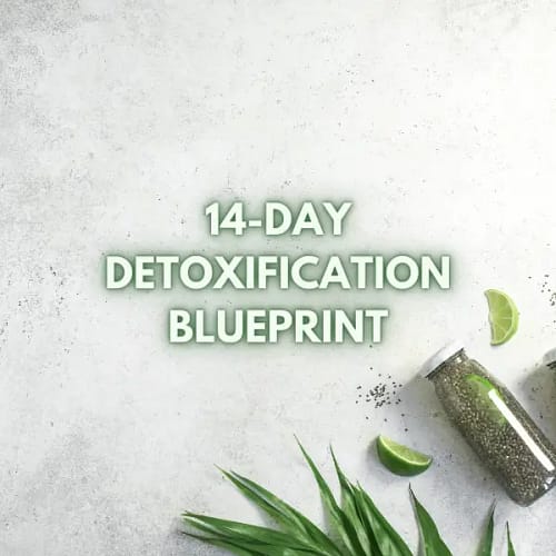 Detox Dudes 14-Day Detoxification Blueprint