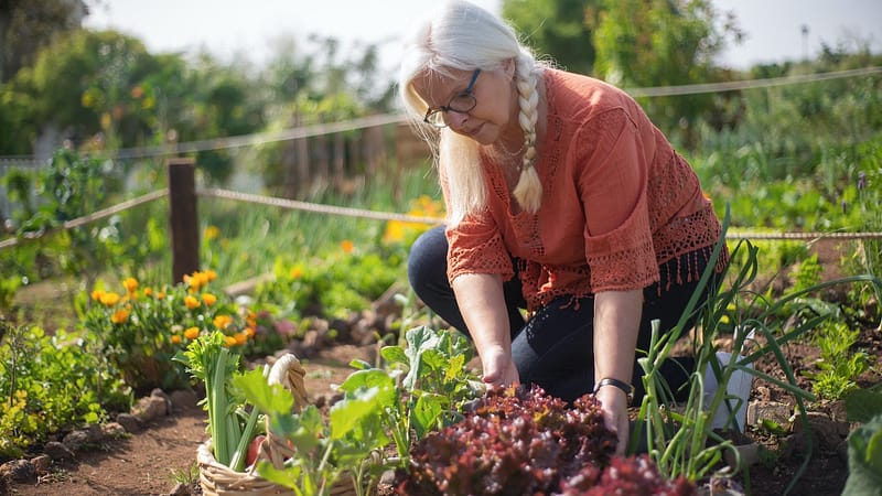 From Soil to Wellness: How Starting a Farm Can Benefit Your Health