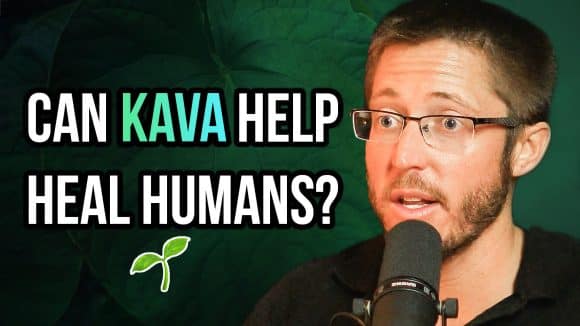 Cameron George | Kava For Greater Consciousness: Better Mental + Physical Vitality via Ancient Plant Intelligence