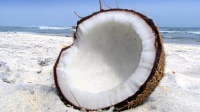Coconut-on-Beach
