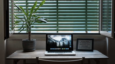 Designing a Zen Workspace for Focus and Calm in Digital Environments