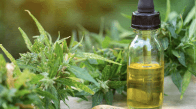 Unlocking the Potential of CBD Hemp Oil: Nurturing Your Health and Vitality