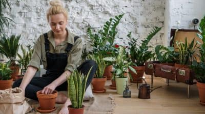 Mindful Hobbies to Change Up Your Wellness Routine
