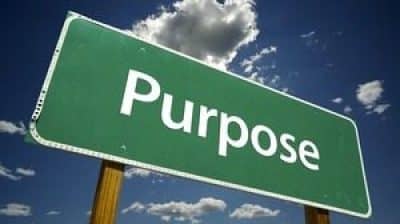 purpose1